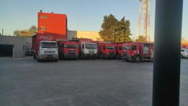 paro39.jpg